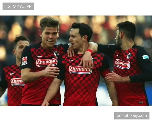 因对手球迷不当行为,德国足协就弗赖堡主场事件展开调查 因对手球迷不当行为,德国足协就弗赖堡主场事件展开调查